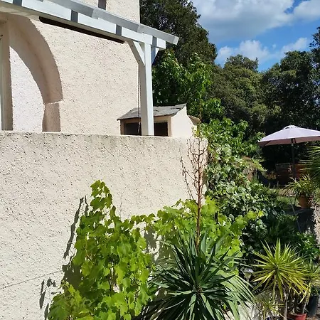 Lägenhet Campo D'elge